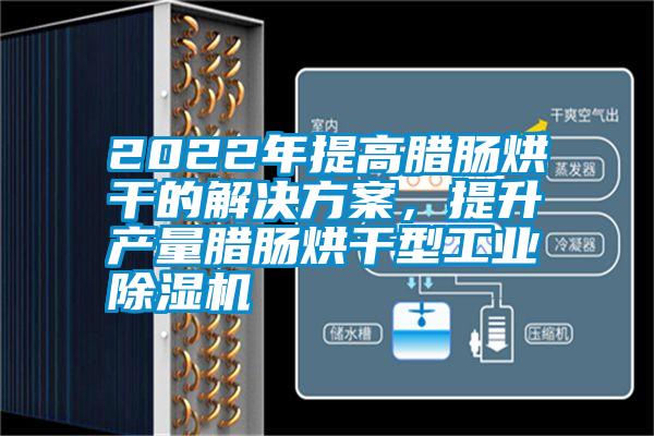 2022年提高臘腸烘干的解決方案，提升產(chǎn)量臘腸烘干型工業(yè)除濕機(jī)