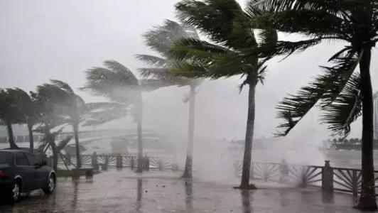 8月臺(tái)風(fēng)雨即將來，除濕機(jī)還得用起來