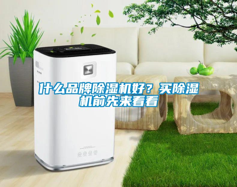 什么品牌除濕機(jī)好？買除濕機(jī)前先來看看