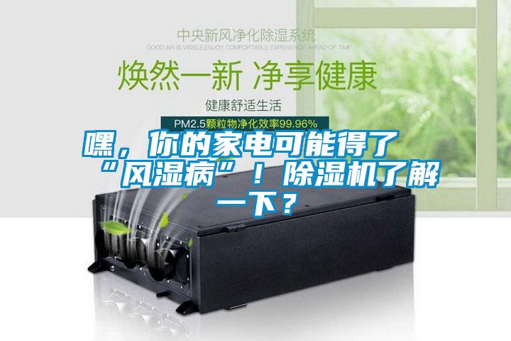 嘿，你的家電可能得了“風(fēng)濕病”！除濕機(jī)了解一下？