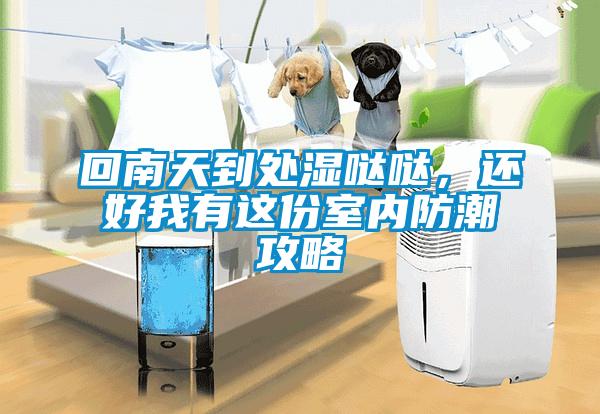 回南天到處濕噠噠，還好我有這份室內(nèi)防潮攻略