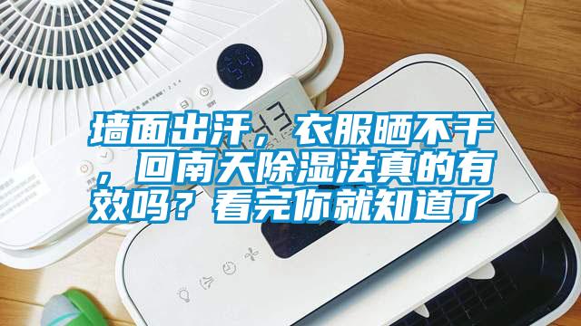 墻面出汗，衣服曬不干，回南天除濕法真的有效嗎？看完你就知道了