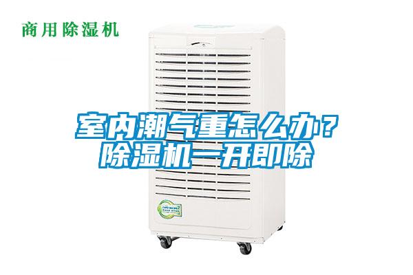 室內(nèi)潮氣重怎么辦？除濕機(jī)一開即除