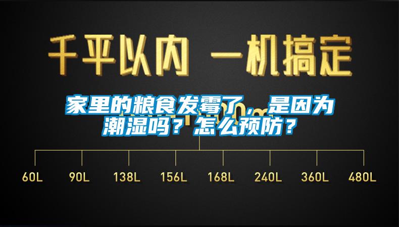 家里的糧食發(fā)霉了，是因為潮濕嗎？怎么預防？