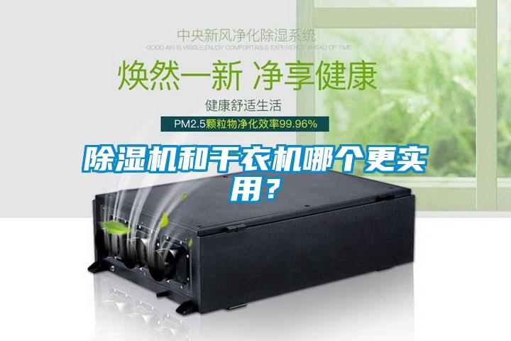 除濕機和干衣機哪個更實用？