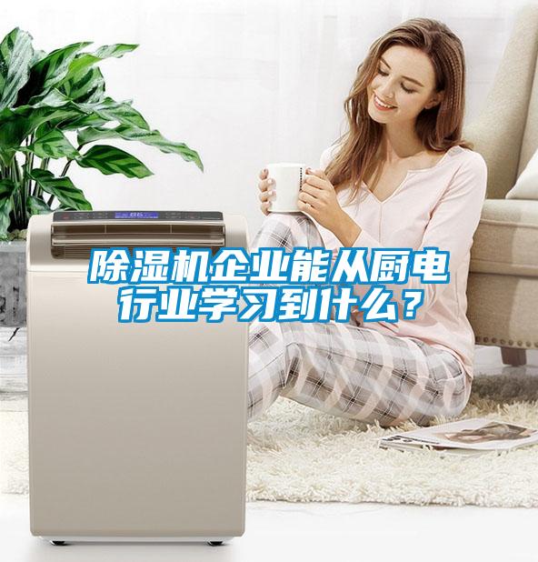 除濕機企業(yè)能從廚電行業(yè)學(xué)習(xí)到什么？