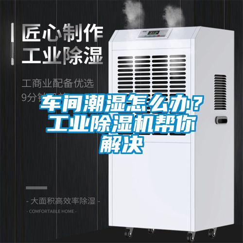 車(chē)間潮濕怎么辦？工業(yè)除濕機(jī)幫你解決