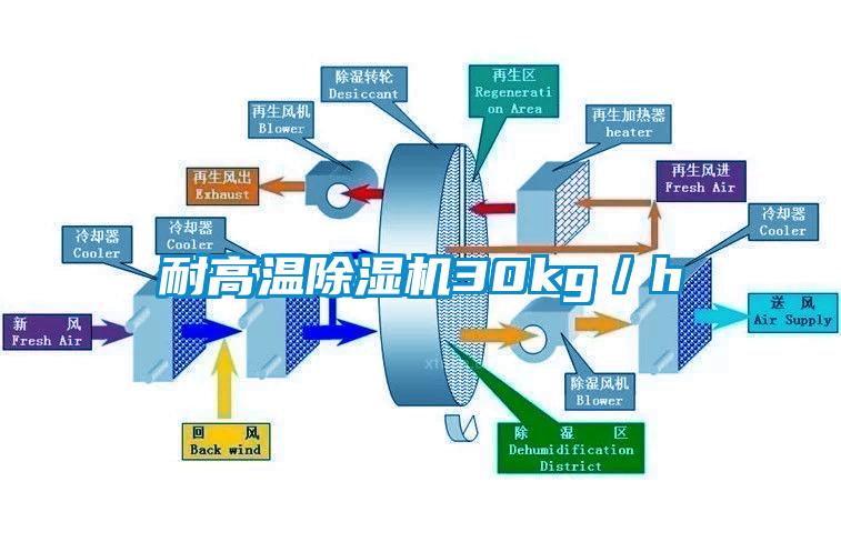 耐高溫除濕機(jī)30kg／h