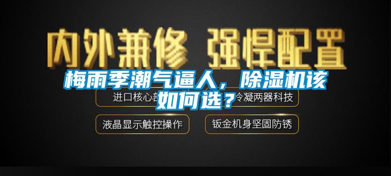 梅雨季潮氣逼人，除濕機(jī)該如何選？