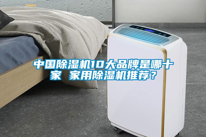 中國除濕機10大品牌是哪十家 家用除濕機推薦？