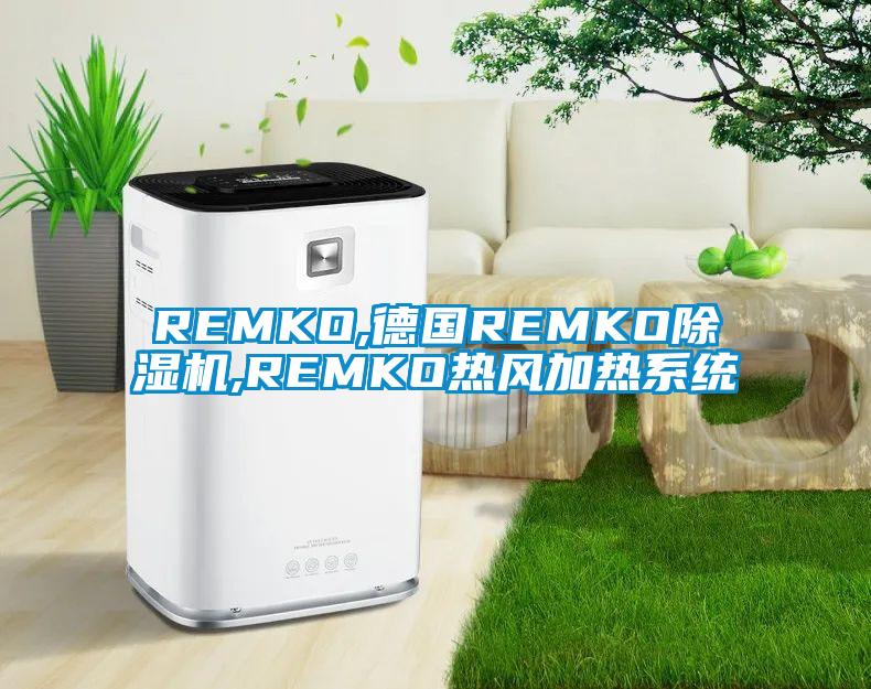 REMKO,德國REMKO除濕機,REMKO熱風(fēng)加熱系統(tǒng)