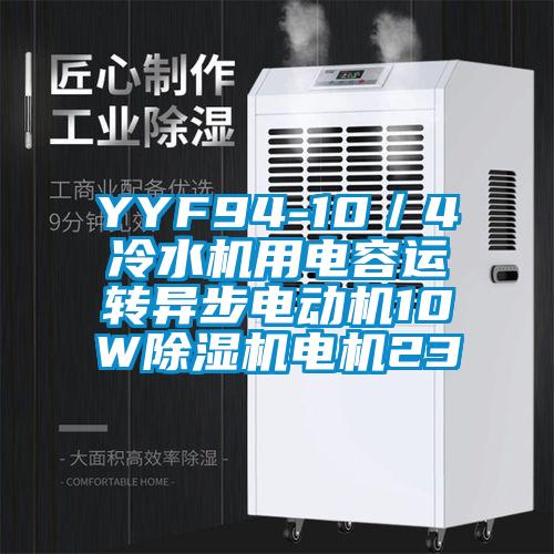 YYF94-10／4冷水機用電容運轉(zhuǎn)異步電動機10W除濕機電機23