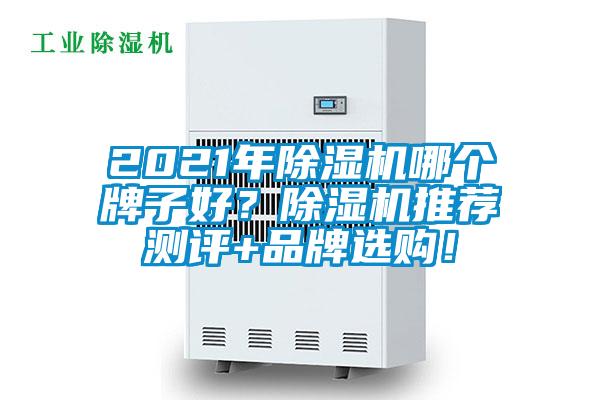 2021年除濕機哪個牌子好？除濕機推薦測評+品牌選購！