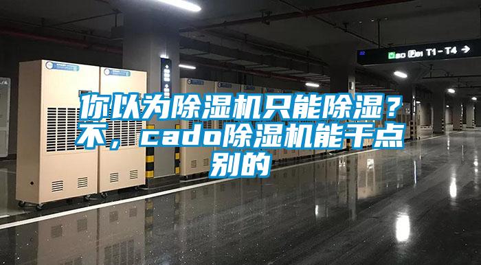 你以為除濕機只能除濕？不，cado除濕機能干點別的