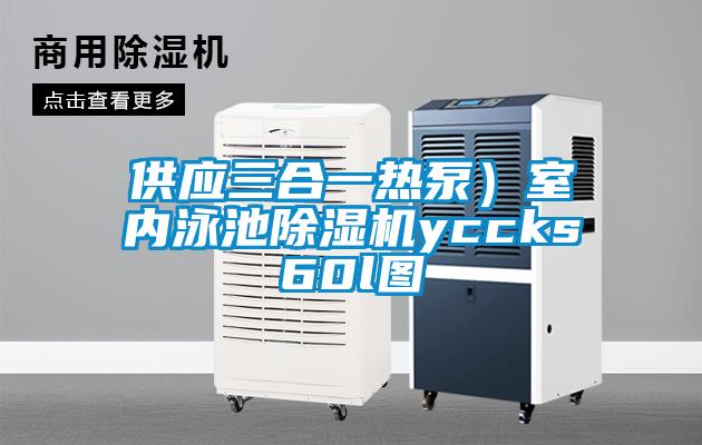 供應三合一熱泵）室內(nèi)泳池除濕機yccks60l圖