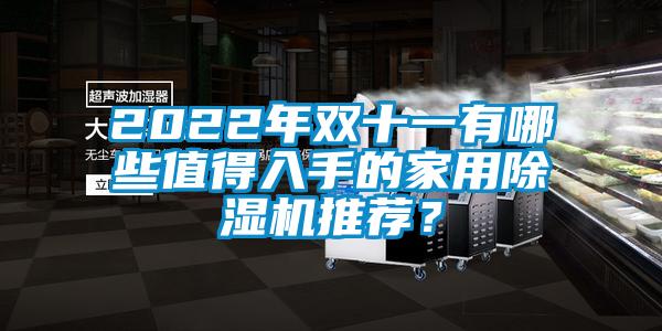 2022年雙十一有哪些值得入手的家用除濕機(jī)推薦？