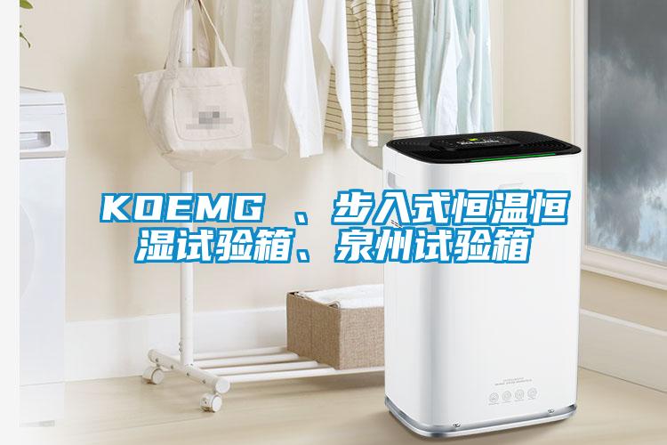 KOEMG 、步入式恒溫恒濕試驗(yàn)箱、泉州試驗(yàn)箱