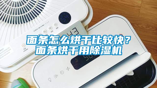 面條怎么烘干比較快？面條烘干用除濕機(jī)