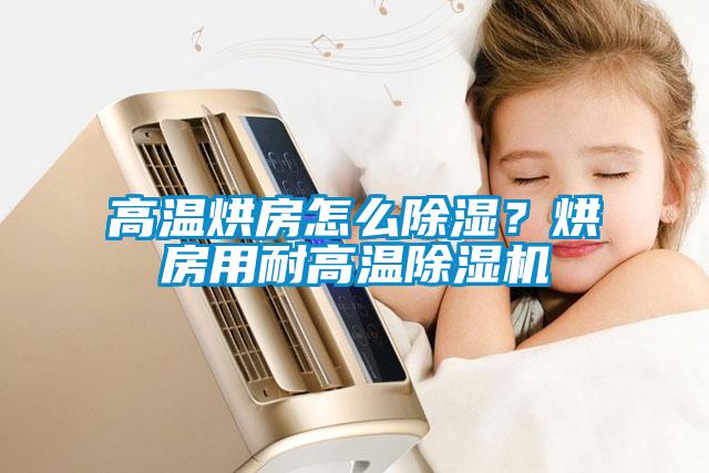 高溫烘房怎么除濕？烘房用耐高溫除濕機