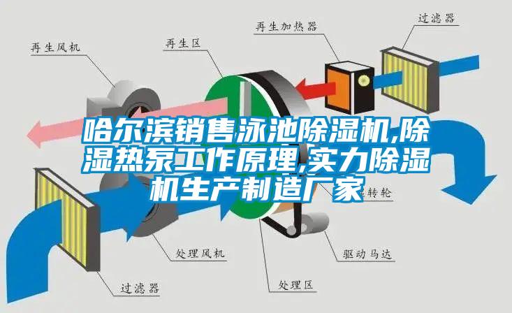 哈爾濱銷售泳池除濕機,除濕熱泵工作原理,實力除濕機生產(chǎn)制造廠家