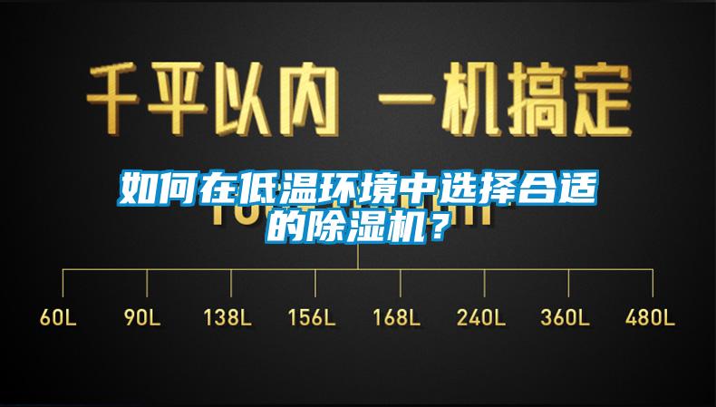 如何在低溫環(huán)境中選擇合適的除濕機(jī)？