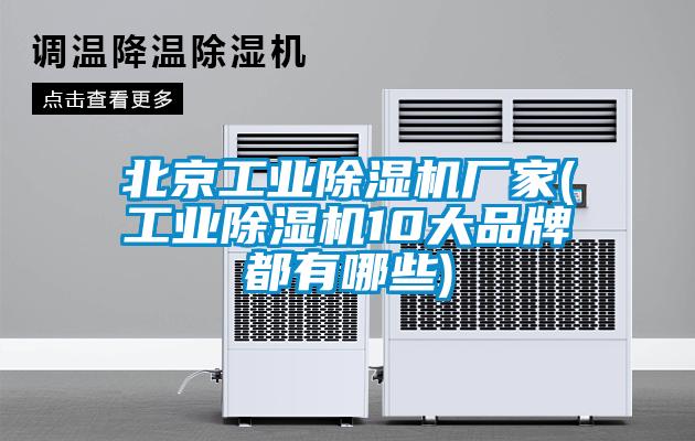 北京工業(yè)除濕機廠家(工業(yè)除濕機10大品牌都有哪些)