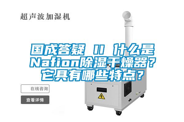 國成答疑 II 什么是Nafion除濕干燥器？它具有哪些特點？