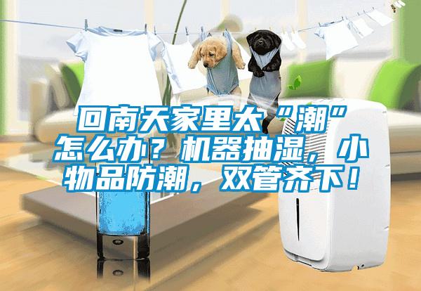 回南天家里太“潮”怎么辦？機器抽濕，小物品防潮，雙管齊下！