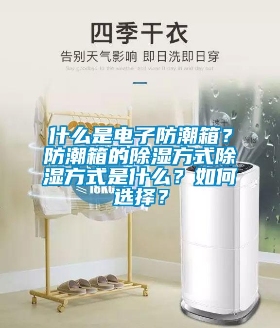 什么是電子防潮箱？防潮箱的除濕方式除濕方式是什么？如何選擇？