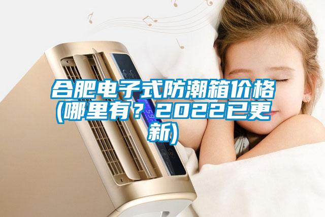 合肥電子式防潮箱價格(哪里有？2022已更新)