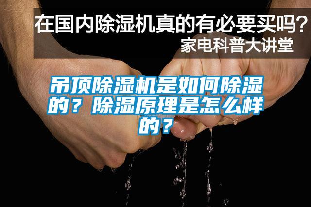 吊頂除濕機(jī)是如何除濕的？除濕原理是怎么樣的？