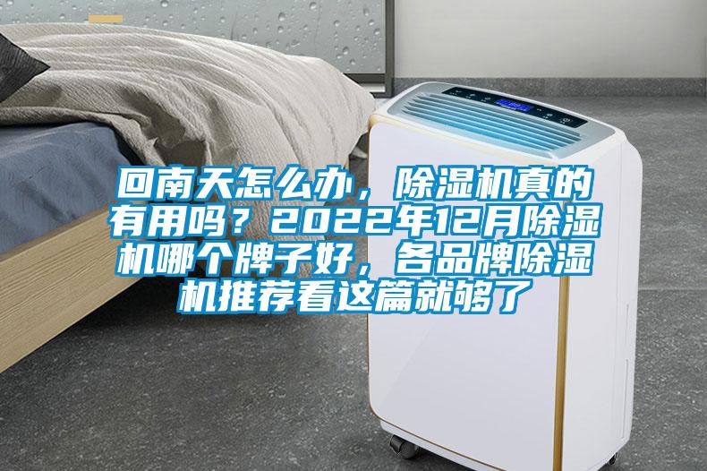 回南天怎么辦，除濕機真的有用嗎？2022年12月除濕機哪個牌子好，各品牌除濕機推薦看這篇就夠了