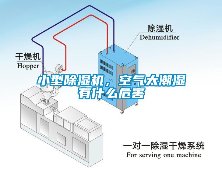 小型除濕機(jī)，空氣太潮濕有什么危害