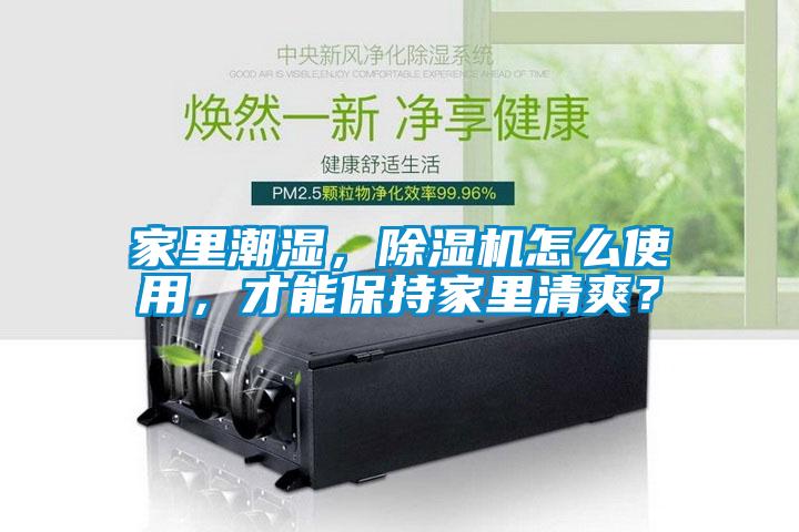 家里潮濕，除濕機怎么使用，才能保持家里清爽？