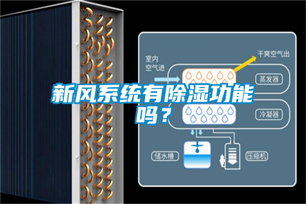 新風(fēng)系統(tǒng)有除濕功能嗎？