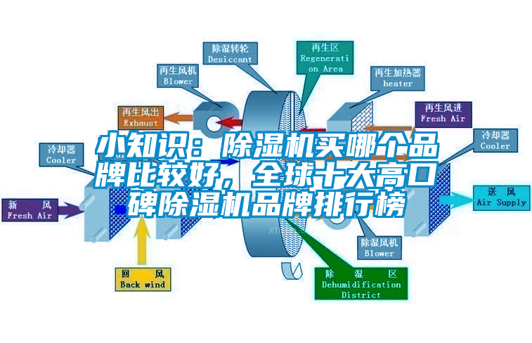 小知識(shí)：除濕機(jī)買哪個(gè)品牌比較好，全球十大高口碑除濕機(jī)品牌排行榜