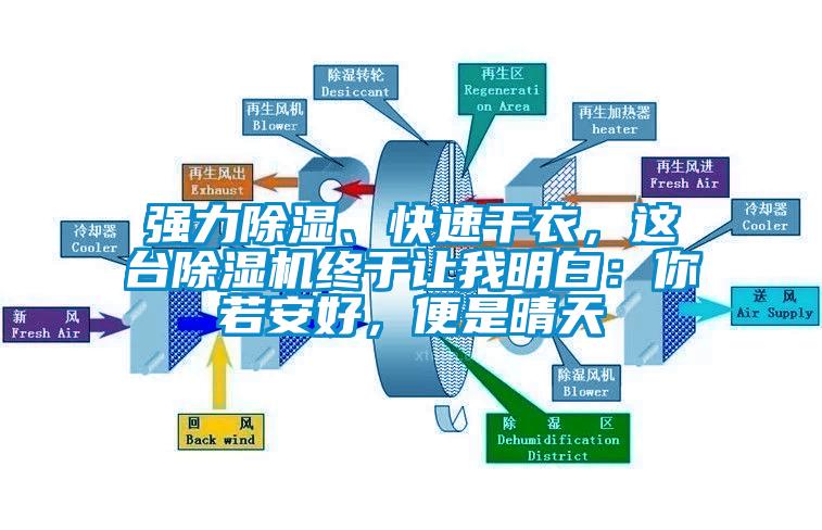 強(qiáng)力除濕、快速干衣，這臺除濕機(jī)終于讓我明白：你若安好，便是晴天