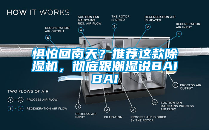 懼怕回南天？推薦這款除濕機(jī)，徹底跟潮濕說BAIBAI