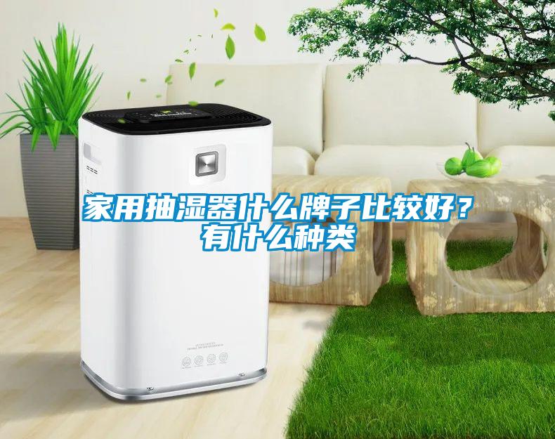 家用抽濕器什么牌子比較好？有什么種類