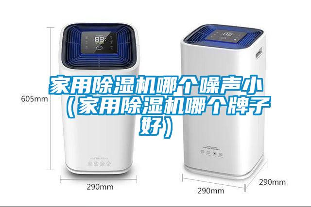 家用除濕機(jī)哪個(gè)噪聲小（家用除濕機(jī)哪個(gè)牌子好）