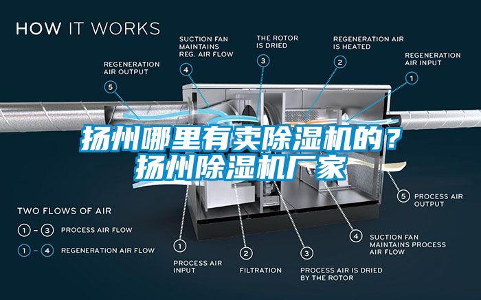 揚(yáng)州哪里有賣除濕機(jī)的？揚(yáng)州除濕機(jī)廠家