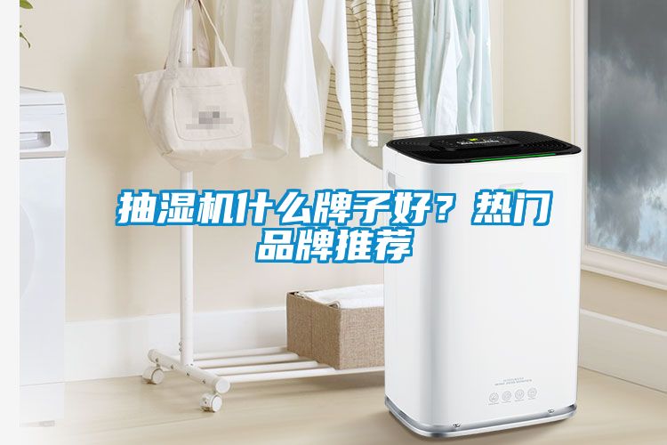 抽濕機(jī)什么牌子好？熱門品牌推薦