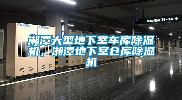 湘潭大型地下室車庫除濕機(jī)，湘潭地下室倉庫除濕機(jī)