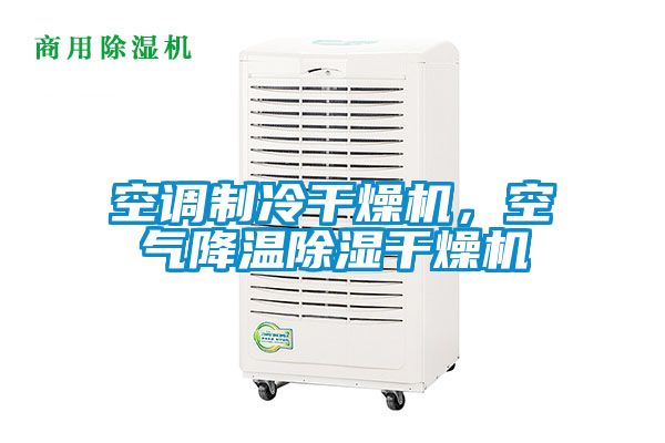 空調制冷干燥機，空氣降溫除濕干燥機