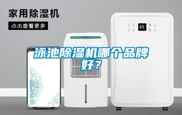 泳池除濕機哪個品牌好？