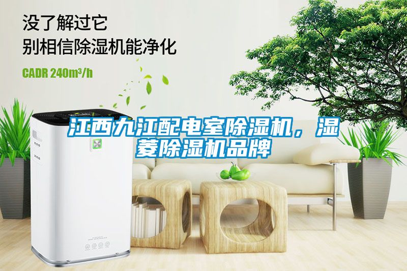 江西九江配電室除濕機(jī)，濕菱除濕機(jī)品牌