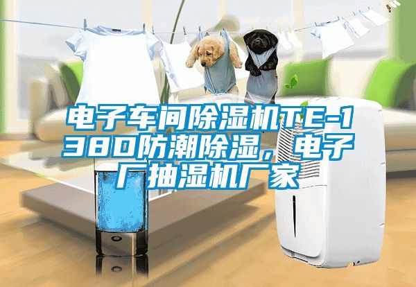 電子車間除濕機TE-138D防潮除濕，電子廠抽濕機廠家