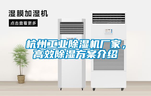 杭州工業(yè)除濕機廠家，高效除濕方案介紹