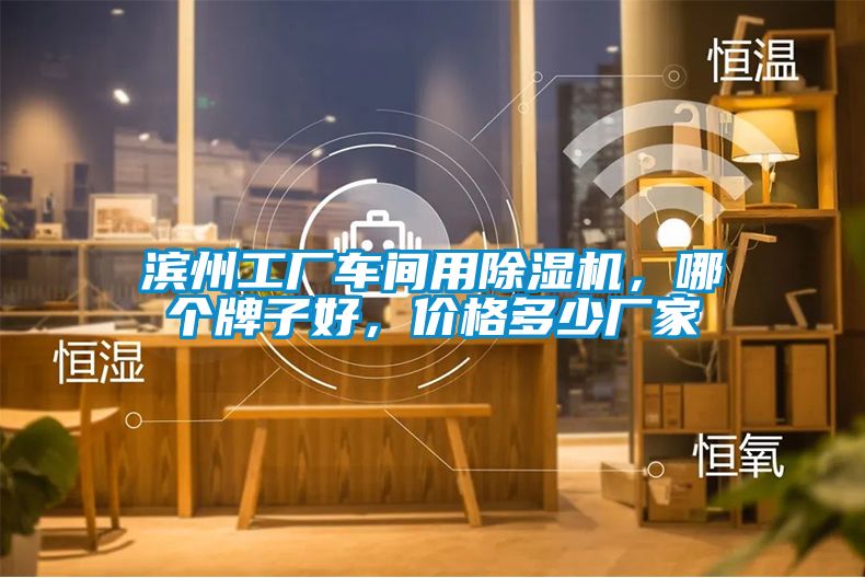 濱州工廠車間用除濕機，哪個牌子好，價格多少廠家