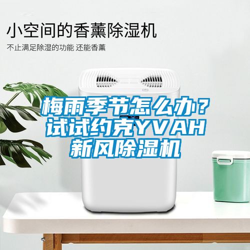 梅雨季節(jié)怎么辦？試試約克YVAH新風(fēng)除濕機